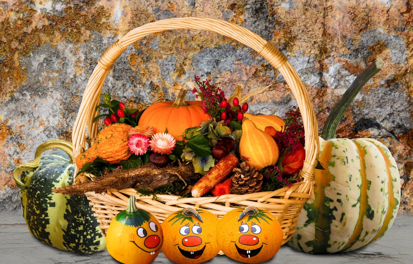 Photo wallpaper pumpkin, still life, basket, vegetables