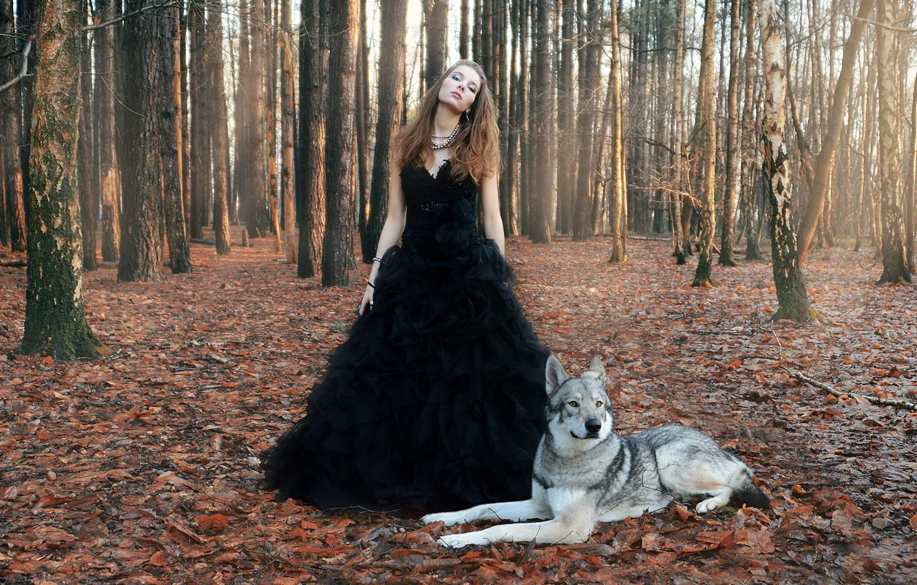 Photo wallpaper forest, girl, wolf, Dance with the wolves