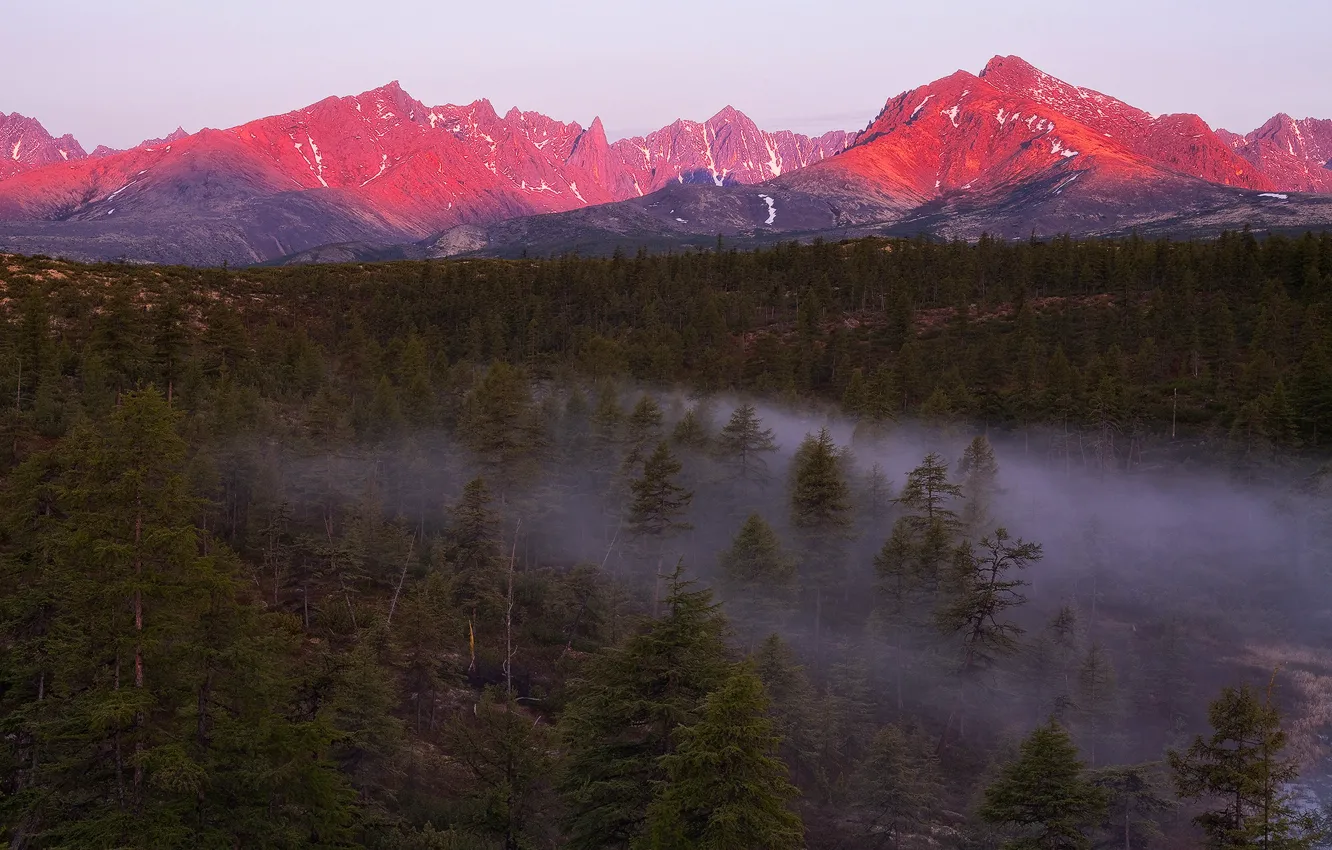 Photo wallpaper forest, light, sunset, mountains, fog, the evening, haze, Magadan oblast