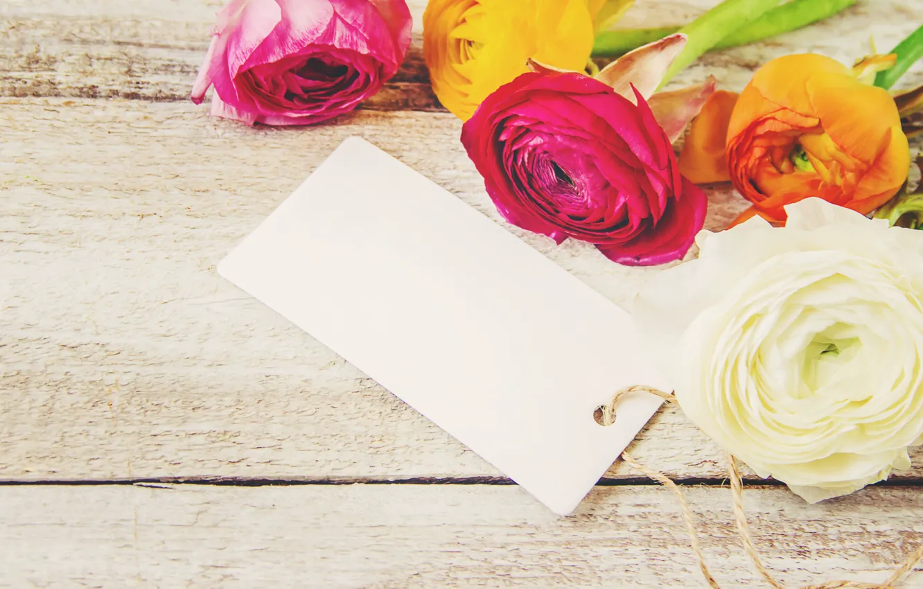 Photo wallpaper flowers, roses, bouquet, colorful, wood, pink, flowers, roses