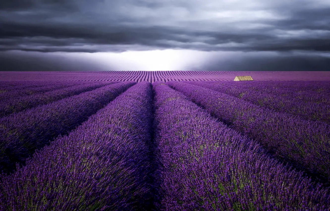 Photo wallpaper field, summer, the sky, flowers, clouds, dal, house, a number