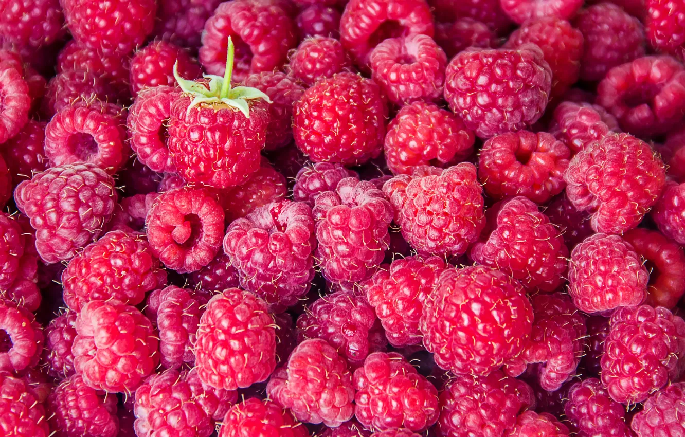 Photo wallpaper raspberry, background, berry, background, berries, raspberry