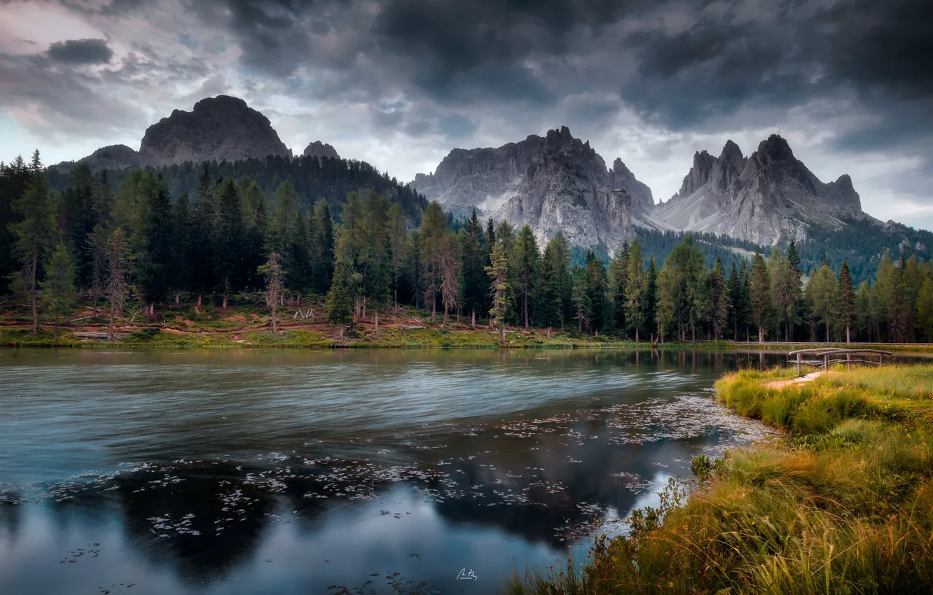 Photo wallpaper forest, the sky, clouds, mountains, river