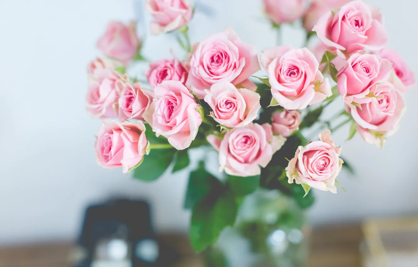 Photo wallpaper roses, bouquet, gentle, pink