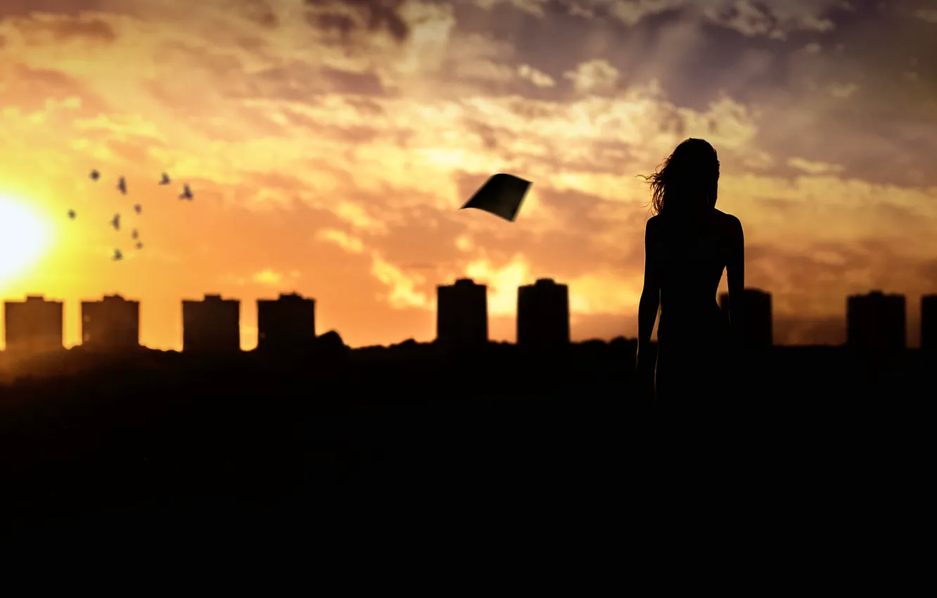 Photo wallpaper girl, flight, the city, bird, silhouette