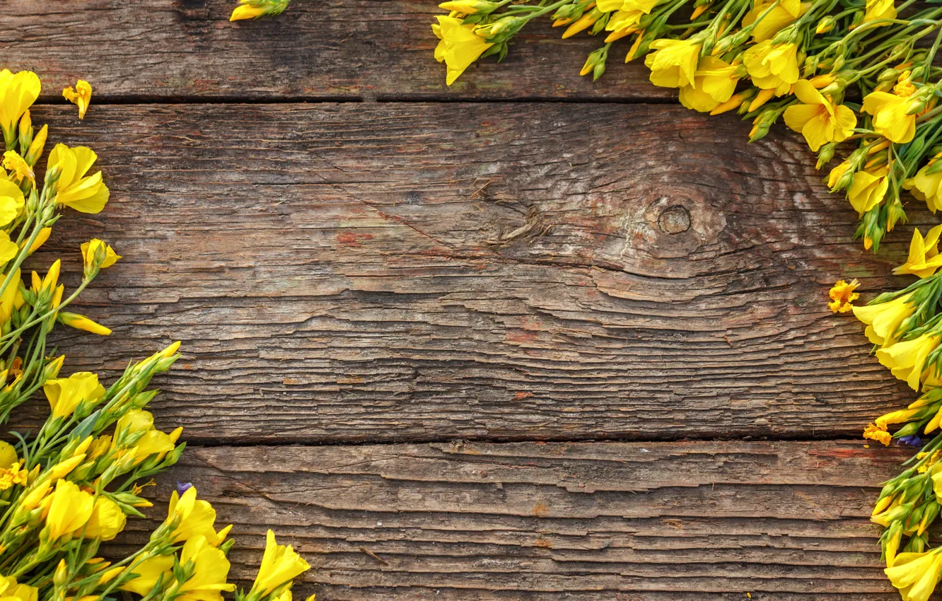 Photo wallpaper flowers, yellow, yellow, wood, flowers, spring