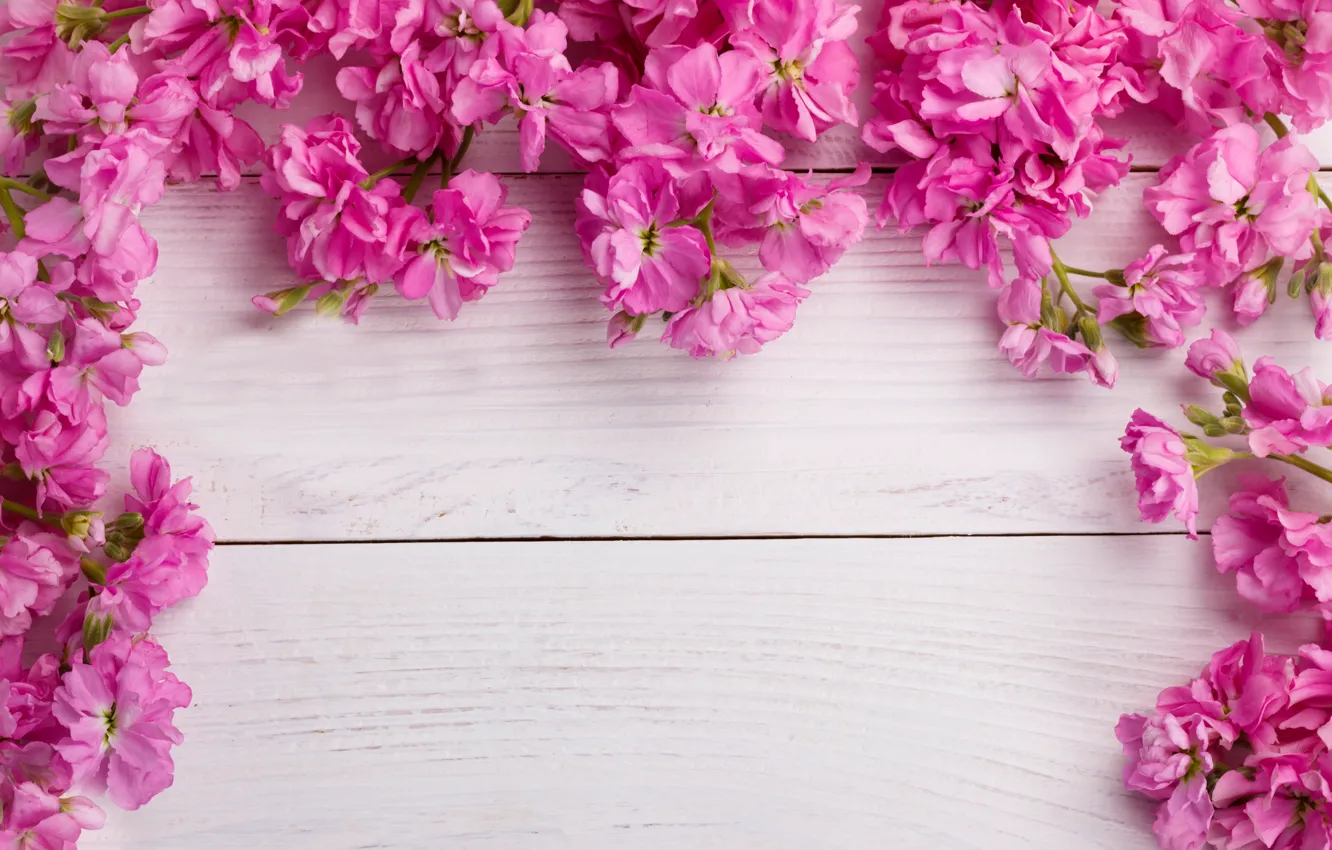 Photo wallpaper flowers, pink, wood, pink, flowers, spring