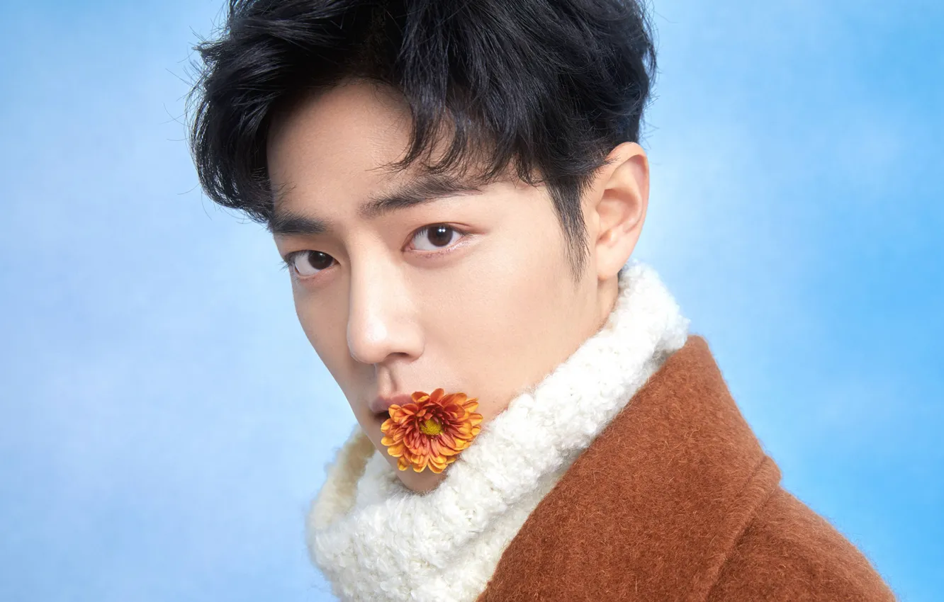 Photo wallpaper flower, look, face, actor, singer, chinese actor, Xiao Zhan, Xiao Zhan