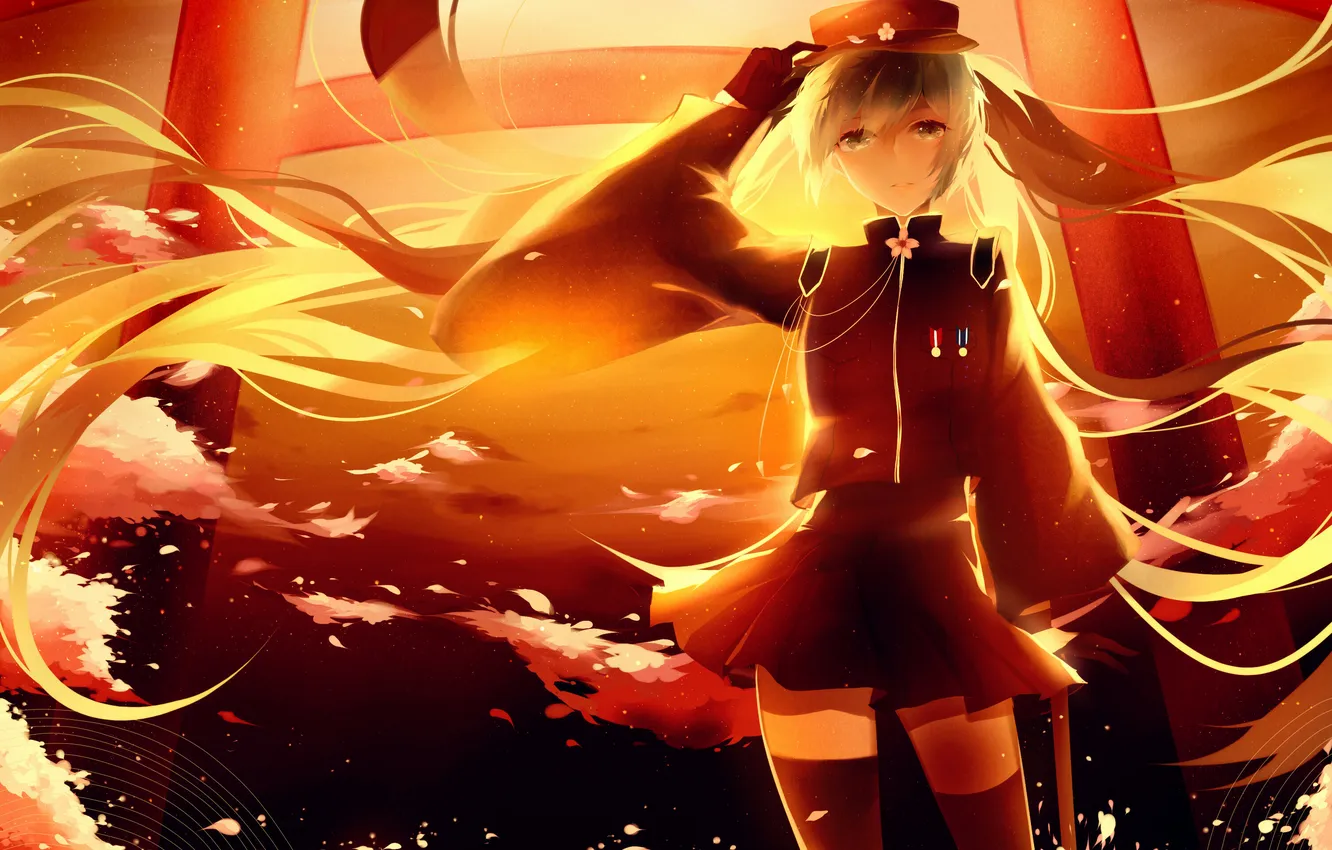 Photo wallpaper girl, sunset, flowers, anime, Sakura, art, form, vocaloid