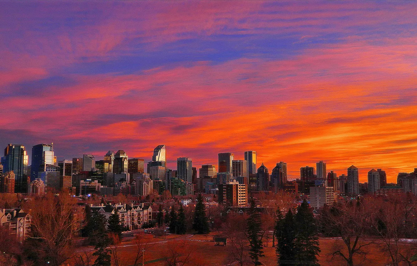 Photo wallpaper city, Alberta, Canada, skyline, trees, sunset, park, skyscraper