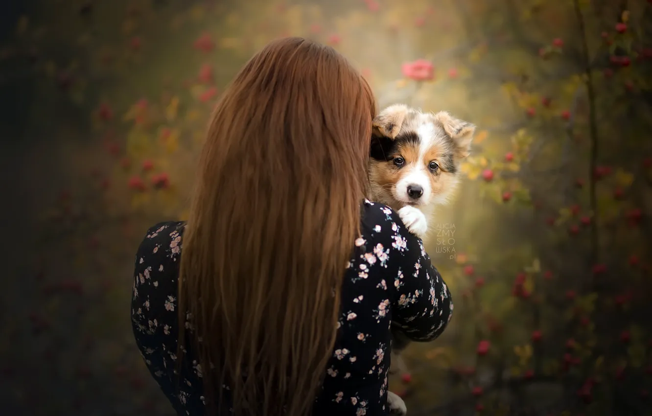 Photo wallpaper autumn, girl, puppy