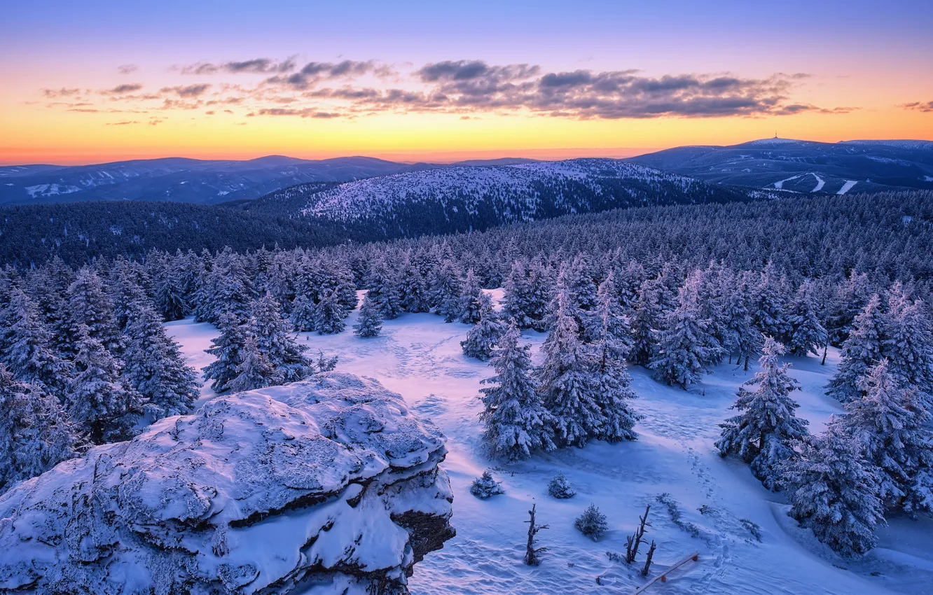 Photo wallpaper winter, forest, snow, sunset, mountains, ate, Czech Republic, Czech Republic