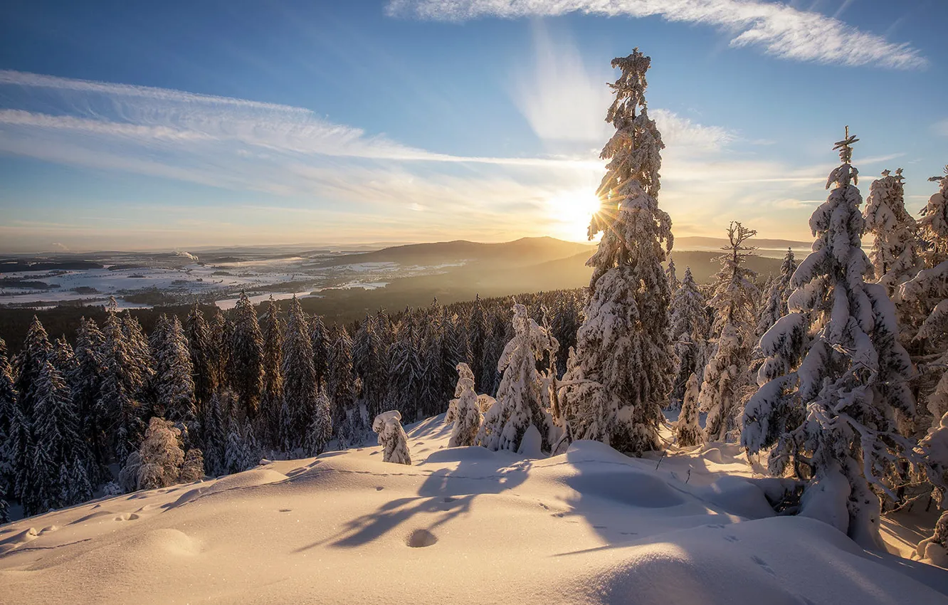 Photo wallpaper winter, forest, the sky, the sun, clouds, rays, light, snow
