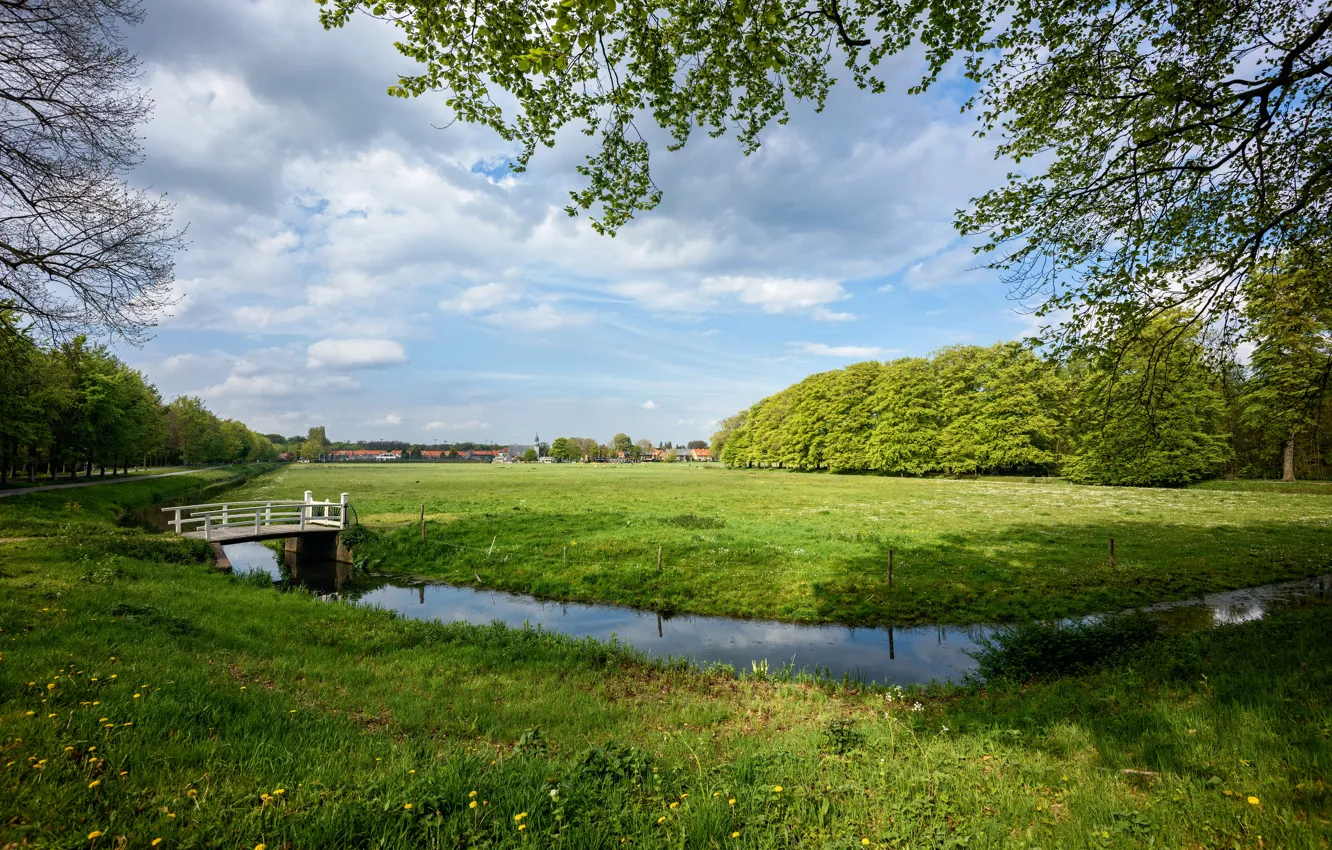 Photo wallpaper road, grass, clouds, trees, branches, home, channel, Netherlands