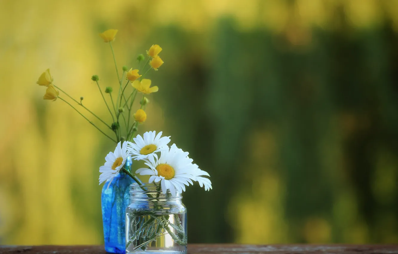 Photo wallpaper chamomile, Bank, bokeh, buttercups, bottle