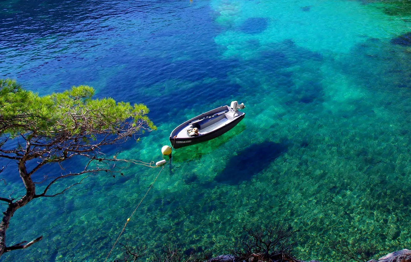 Photo wallpaper transparency, trees, boat, Bay