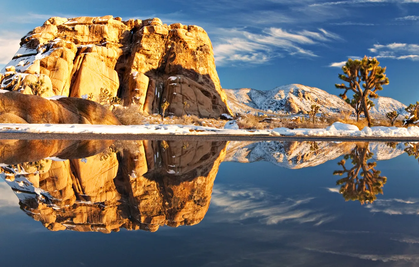 Photo wallpaper landscape, nature, lake, reflection, stones, plant, America, Joshua Tree National Park