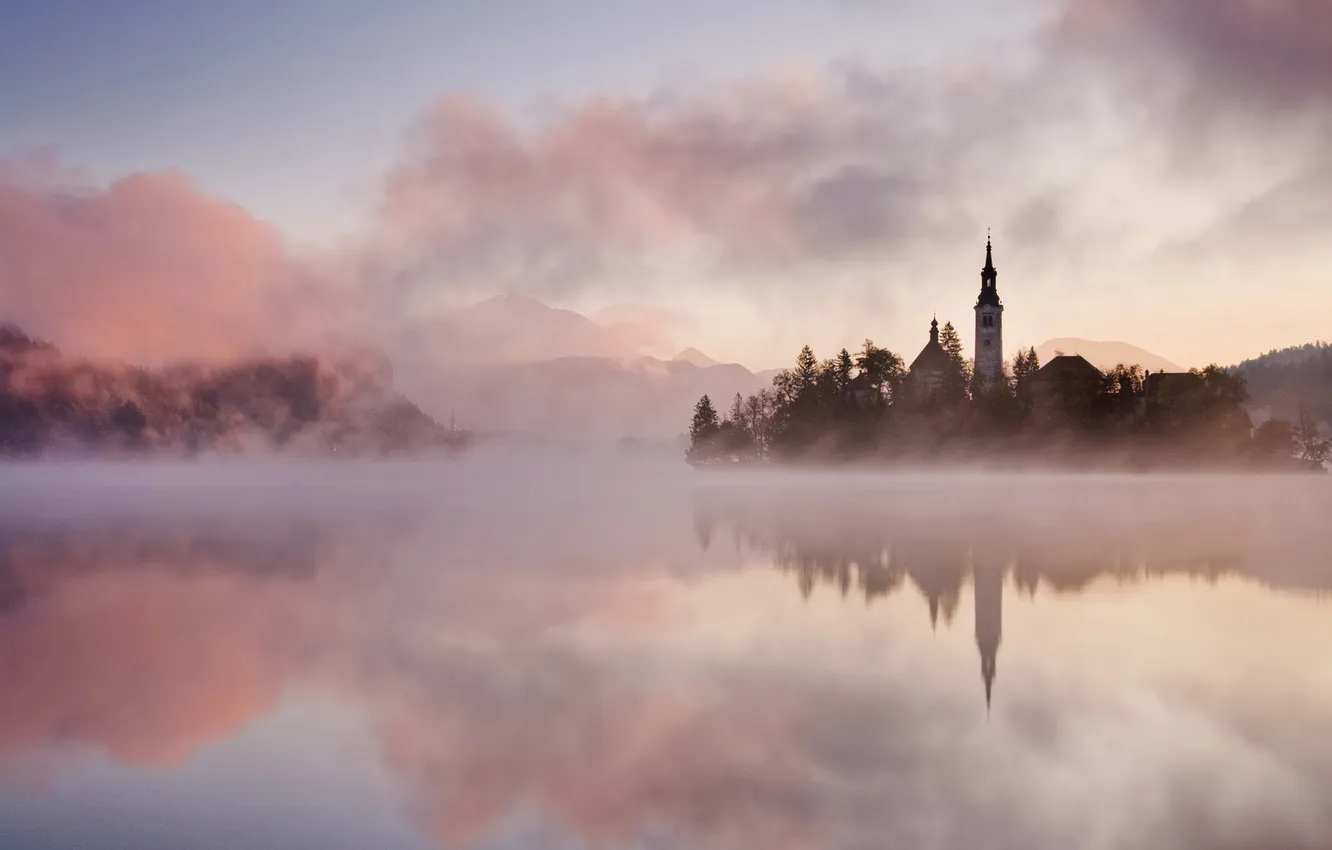 Photo wallpaper trees, fog, river, island, landscape beautiful