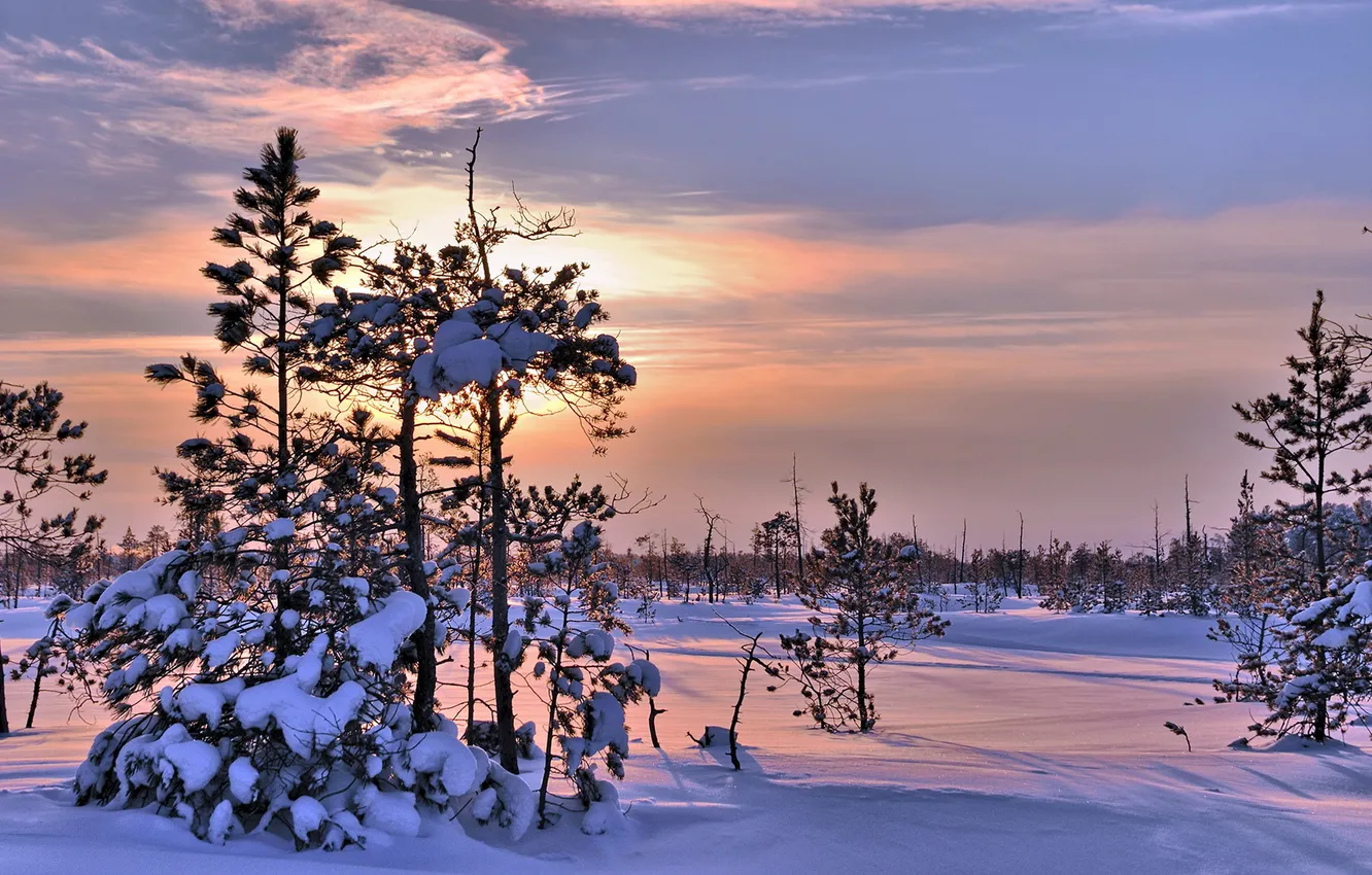 Photo wallpaper winter, snow, landscape, sunset