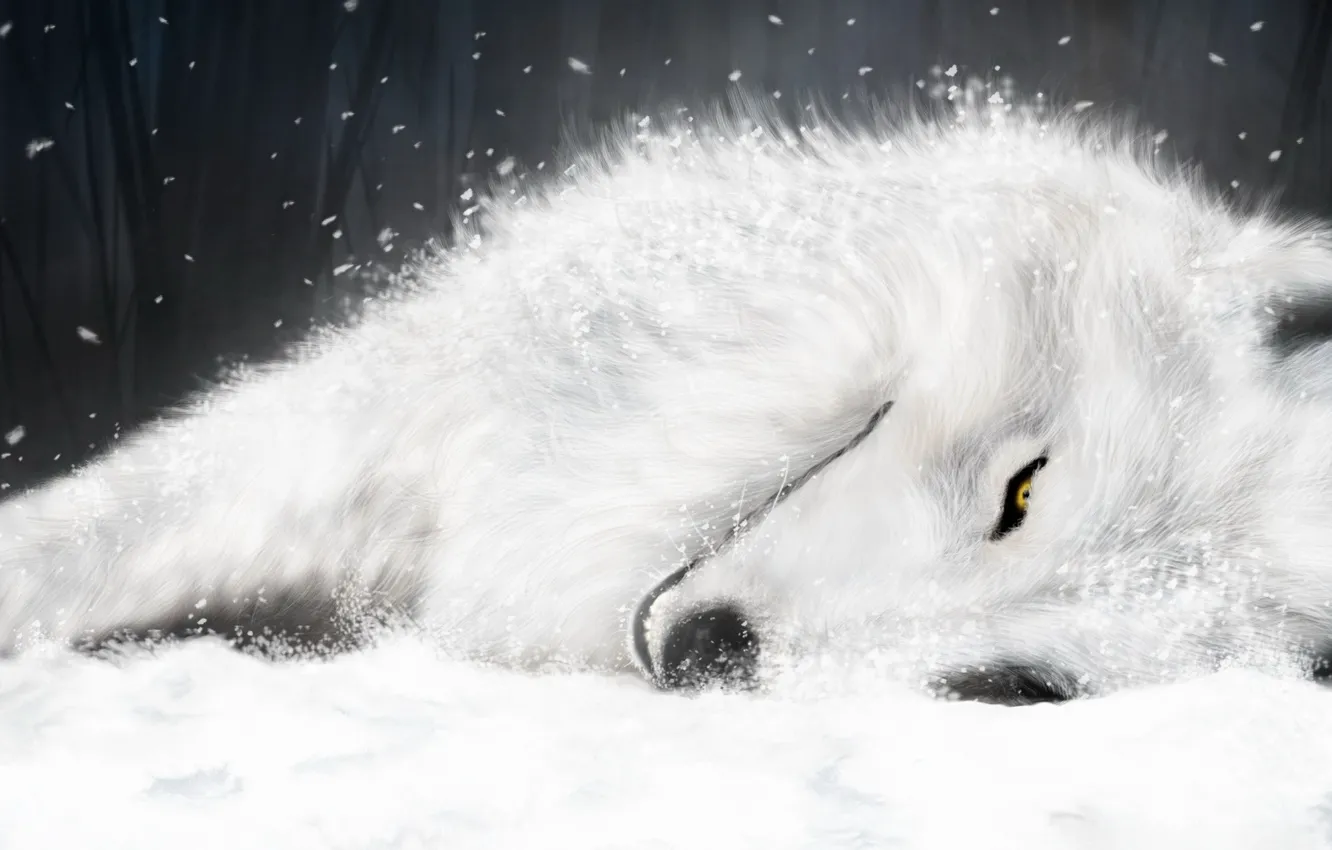 Photo wallpaper figure, wolf, White, Wolf's Rain, Kiba, supermonchi