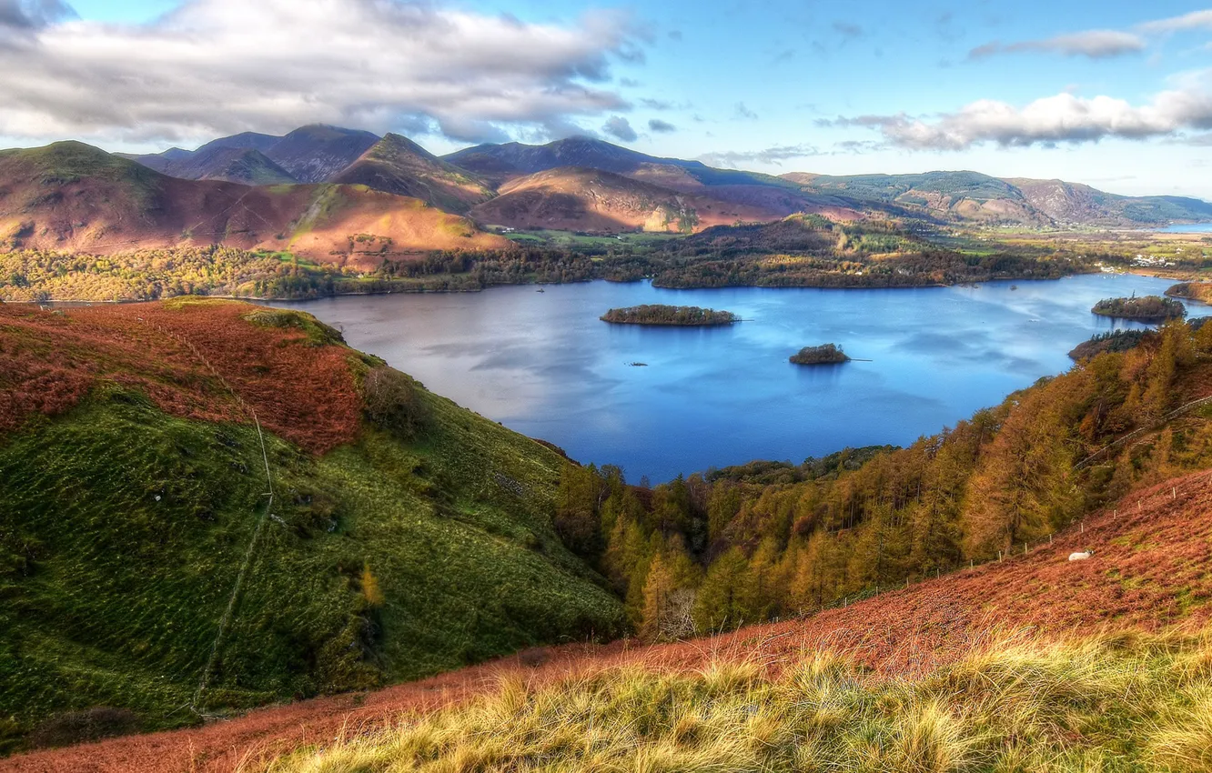 Photo wallpaper forest, the sky, clouds, trees, mountains, lake, France, HDR