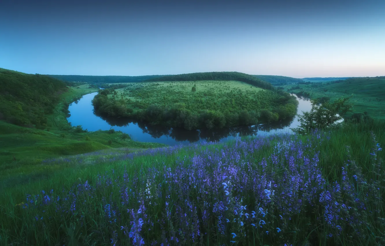 Photo wallpaper grass, landscape, flowers, nature, river, hills, meadow, curves