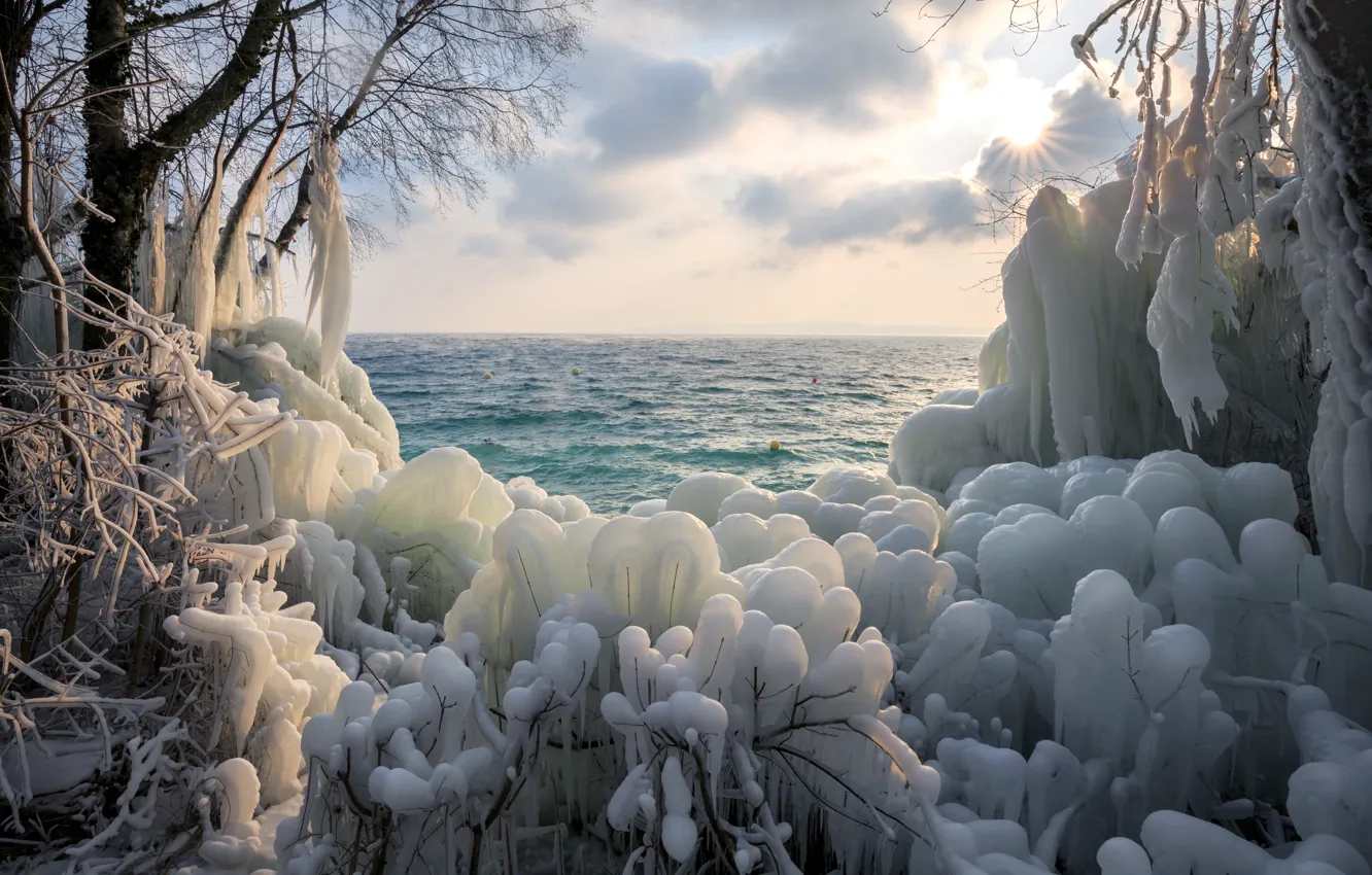 Photo wallpaper ice, frost, sea, the sun, clouds, branches, nature, shore