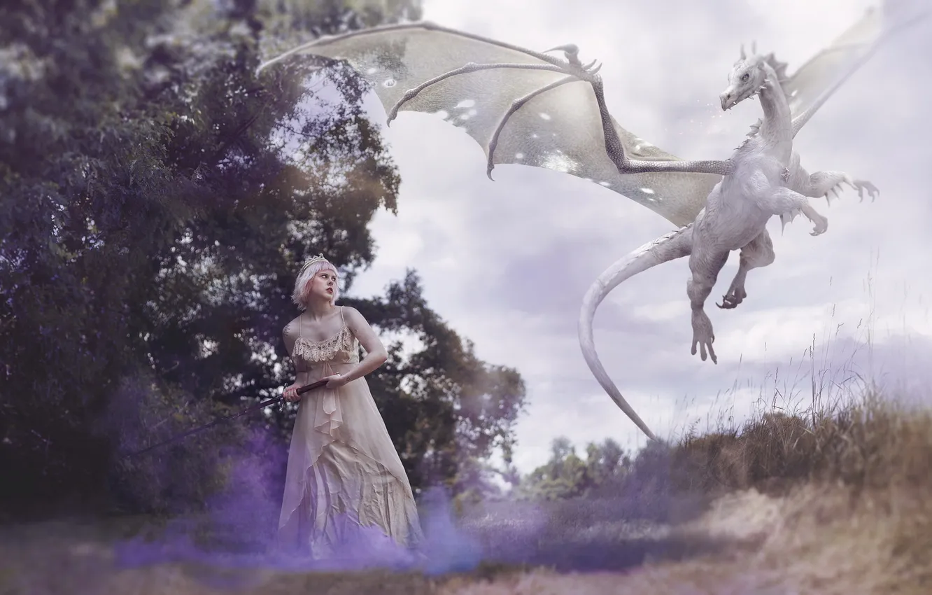 Photo wallpaper girl, dragon, the situation