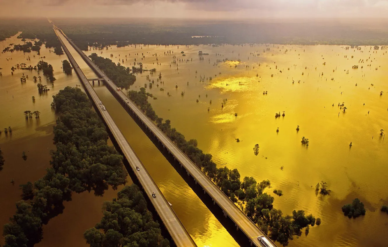 Photo wallpaper road, swamp, USA, Louisiana, Pool Atchafalaya