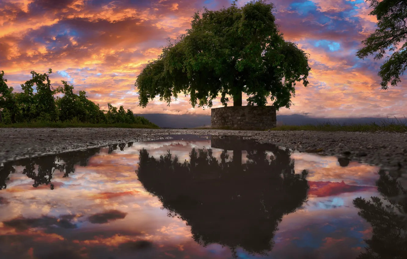 Photo wallpaper clouds, trees, sunset, lake, reflection, shore, brick, haze