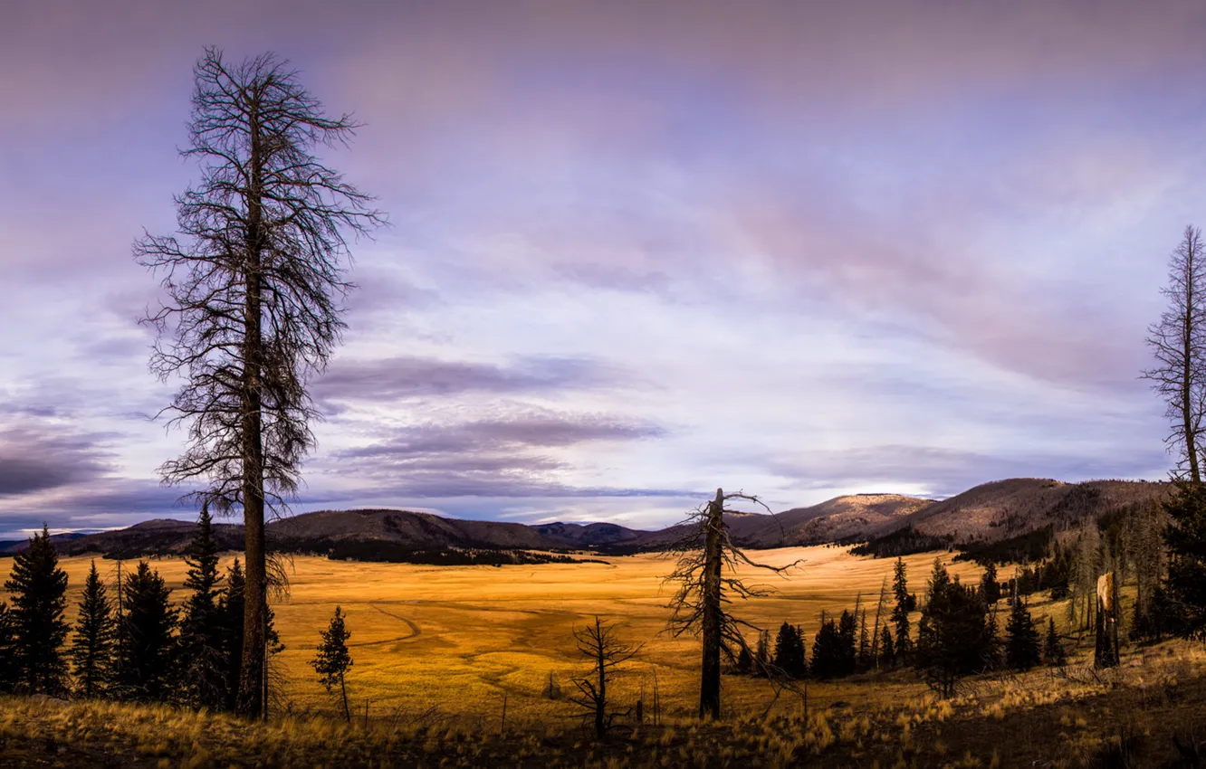 Photo wallpaper mountains, nature, valley, United States, New Mexico