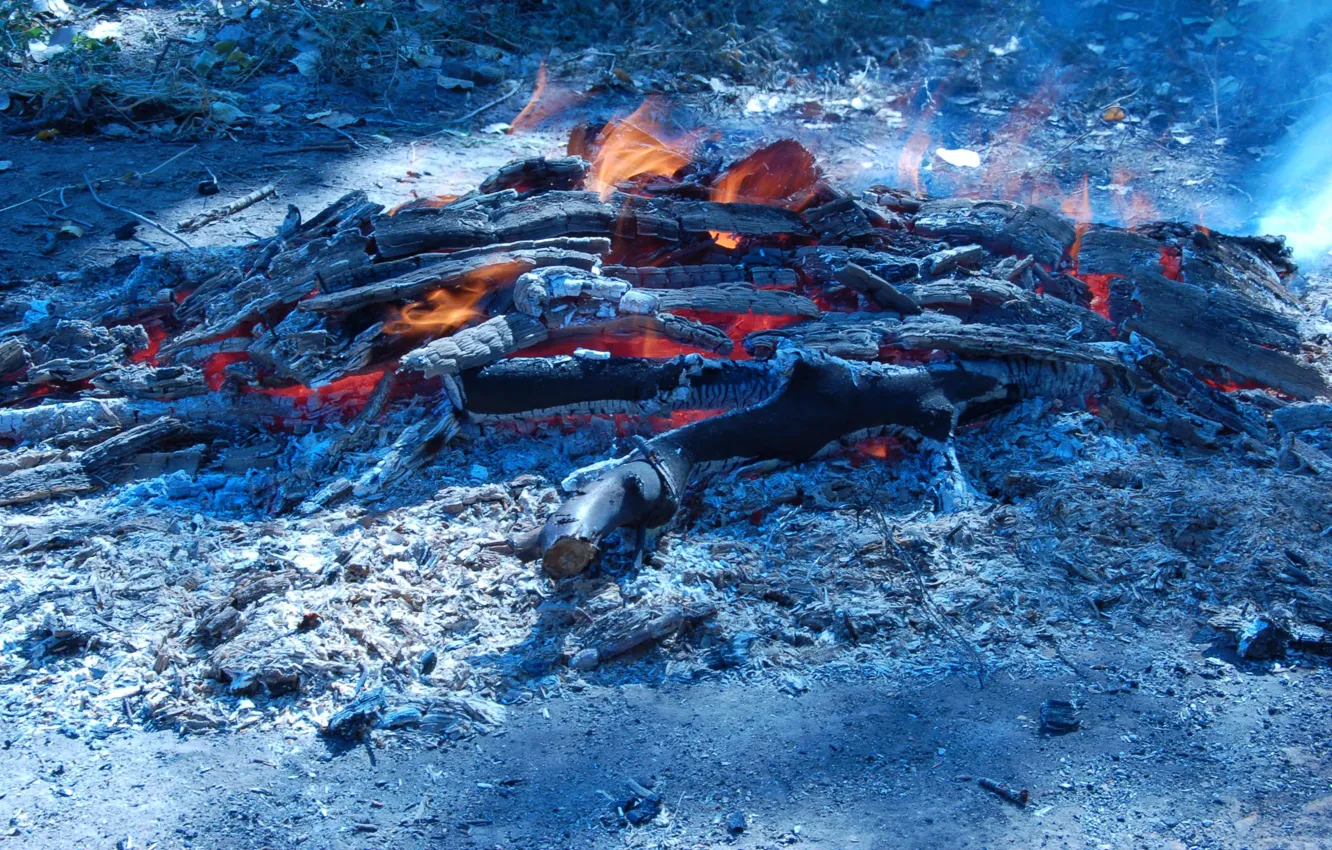 Photo wallpaper fire, flame, log