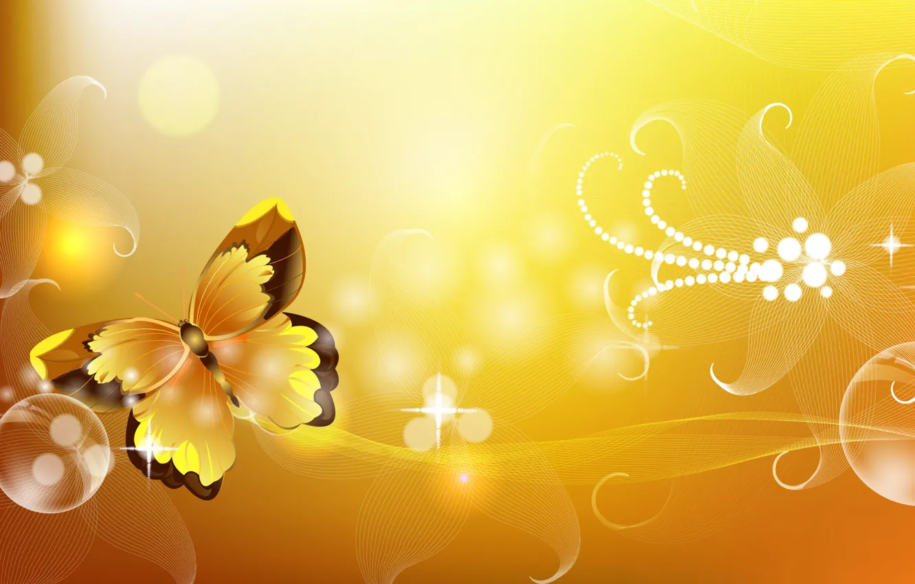 Photo wallpaper flowers, butterfly, lights