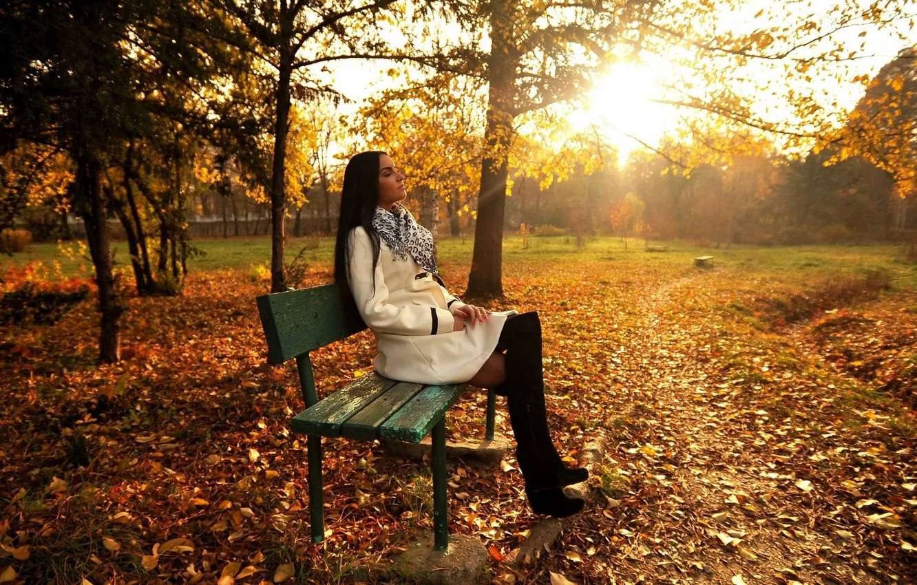 Photo wallpaper autumn, leaves, girl, the sun, trees, bench, brunette