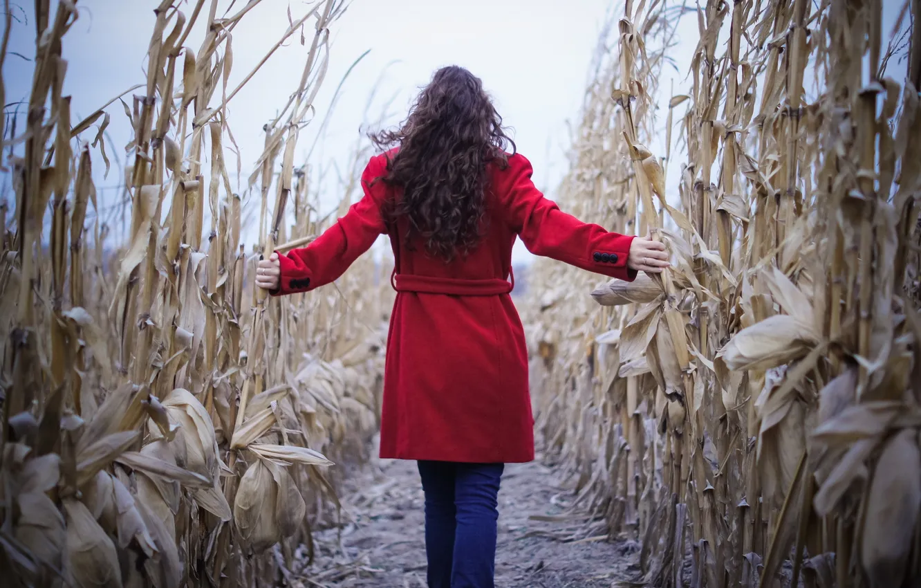 Photo wallpaper girl, nature, corn