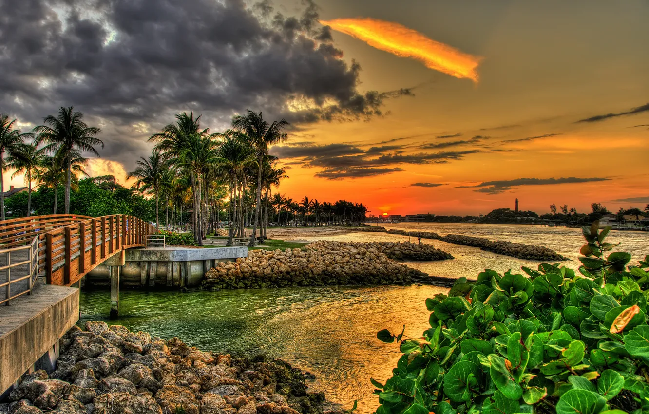Photo wallpaper sunset, bridge, palm trees, FL, Florida, Jupiter, Dubois Park