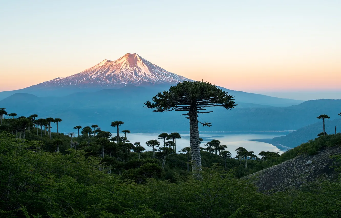 Photo wallpaper forest, mountains, lake