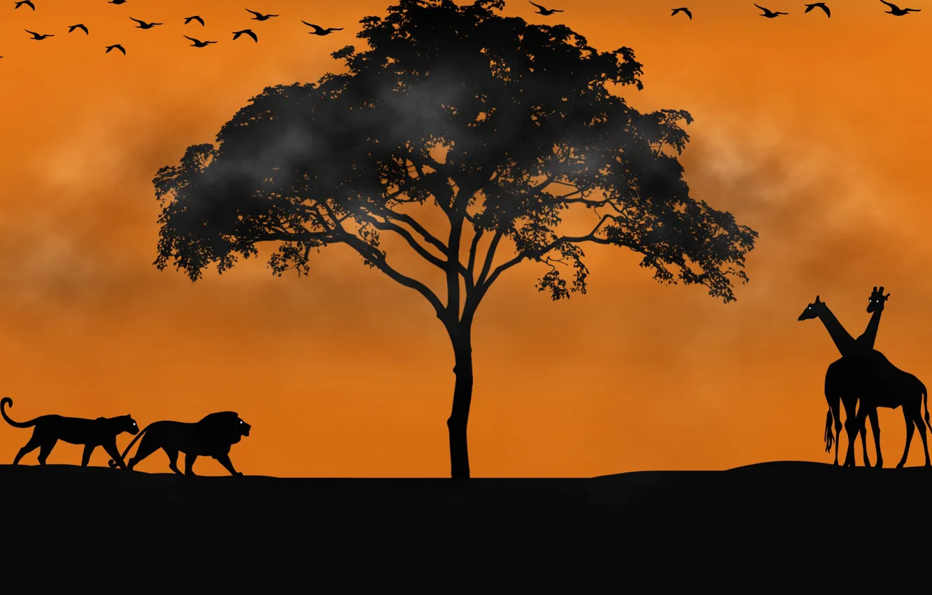 Photo wallpaper trees, Leo, giraffe, picture, Safari