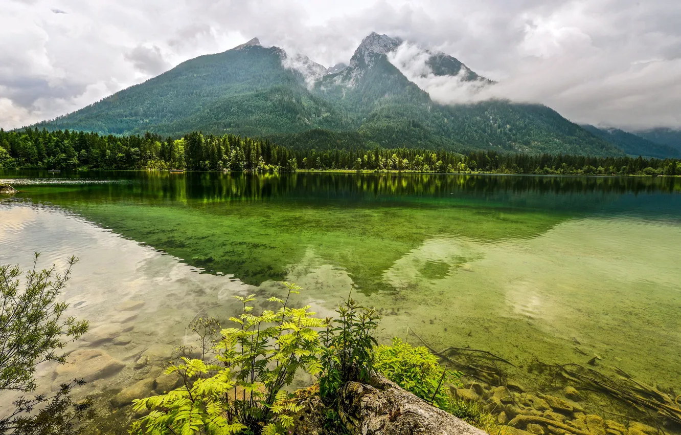 Photo wallpaper forest, clouds, trees, mountains, lake