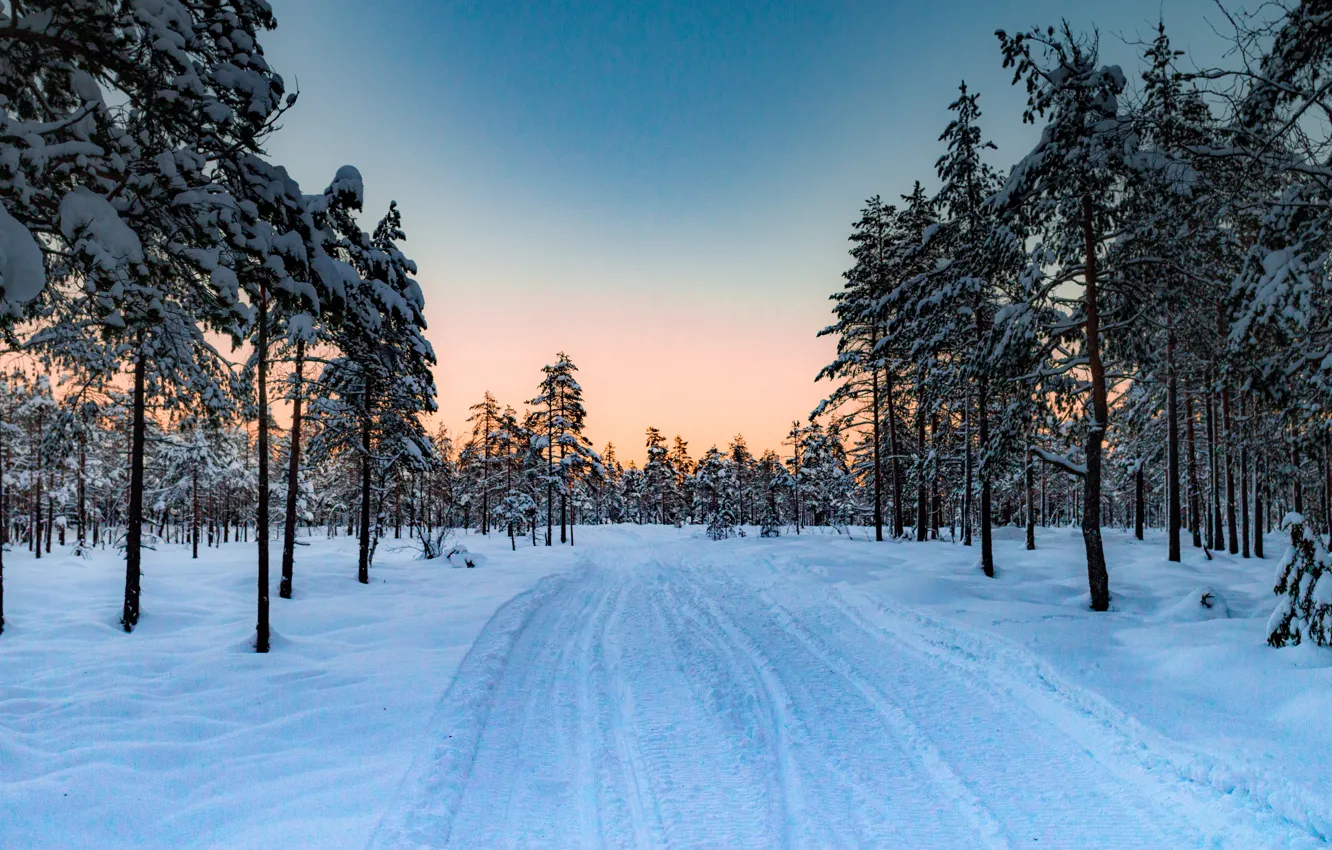 Photo wallpaper winter, road, forest, snow, trees, sunset, Norway