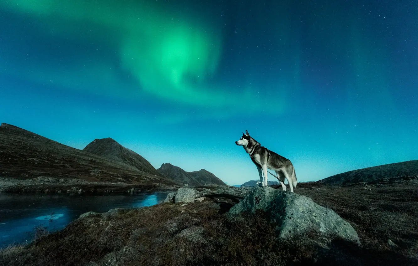 Photo wallpaper mountains, night, nature, river, shore, vegetation, stone, the slopes