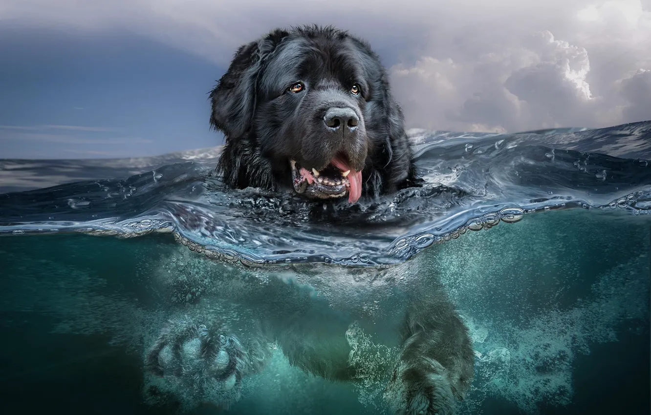 Photo wallpaper sea, wave, language, the sky, look, face, water, clouds