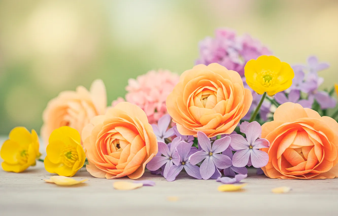 Photo wallpaper flowers, bouquet, petals, pastel, flowers, petals, bouquet, pastel