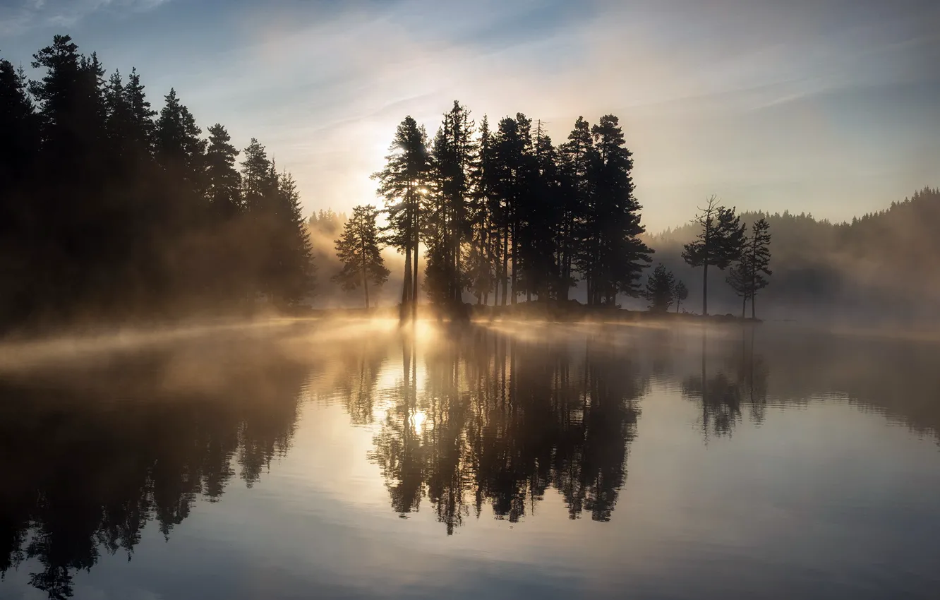 Photo wallpaper fog, lake, morning