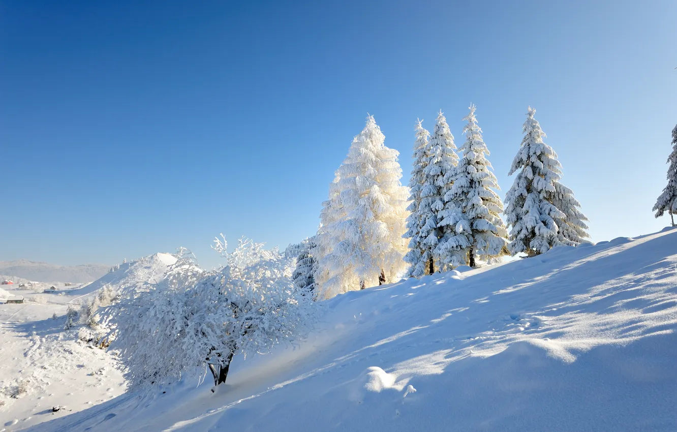 Photo wallpaper winter, frost, forest, light, snow, mountains, hills, in the snow