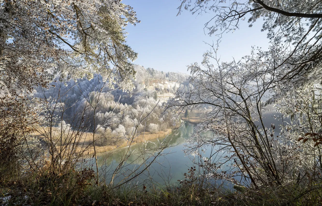 Photo wallpaper winter, forest, snow, pond