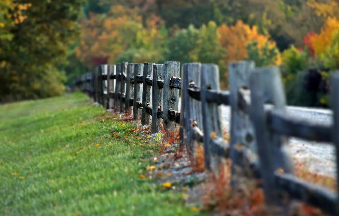 Photo wallpaper road, grass, the fence