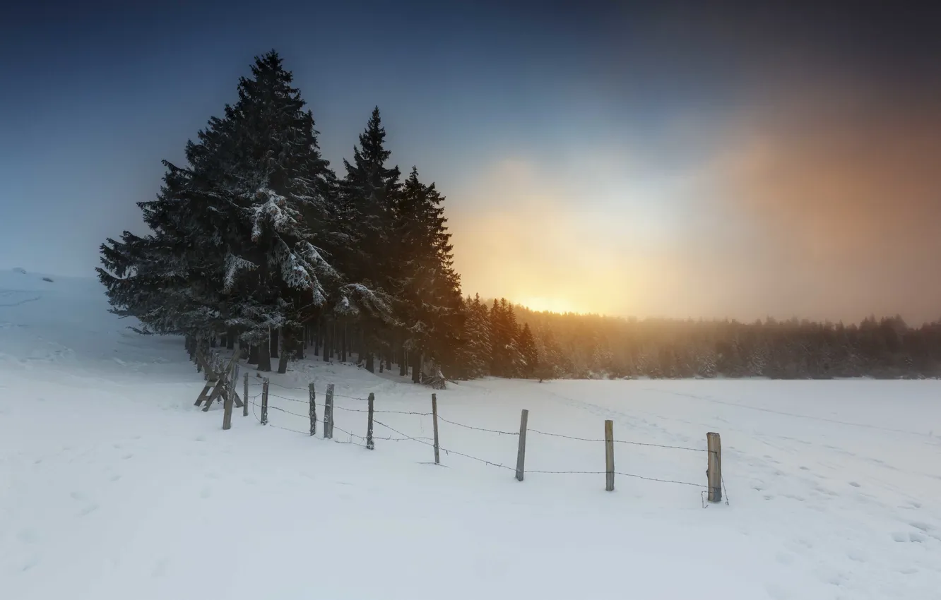 Photo wallpaper winter, the sky, snow, trees, sunset, the fence