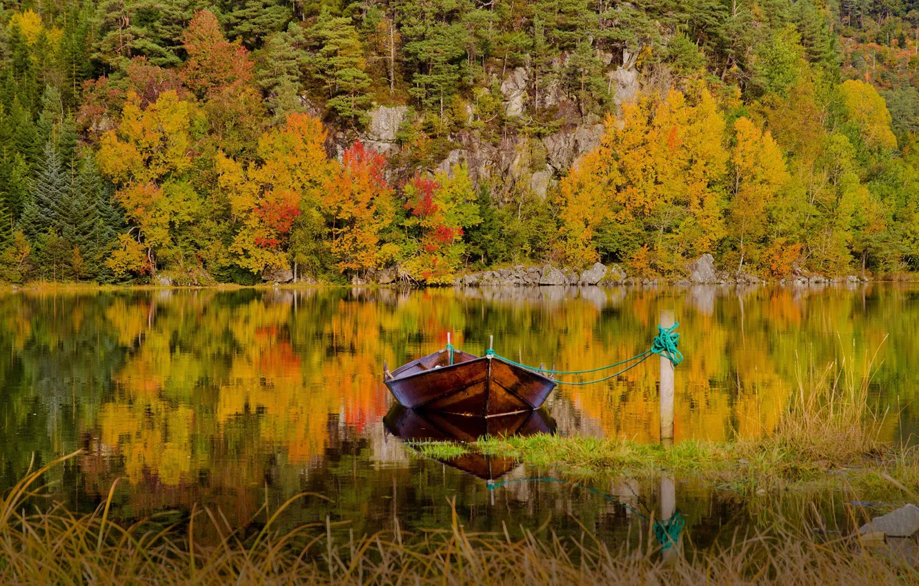 Photo wallpaper autumn, forest, grass, landscape, nature, lake, reflection, boat