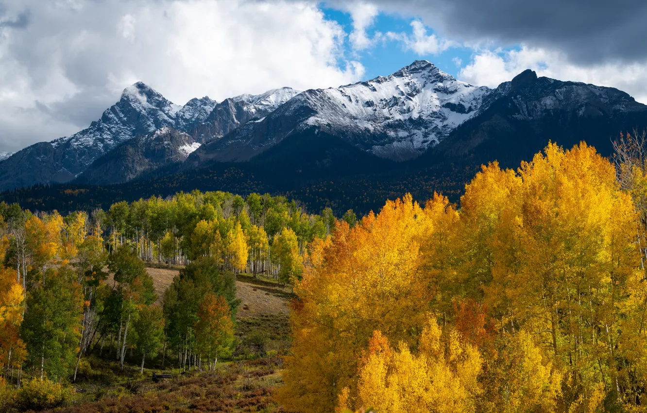 Photo wallpaper autumn, forest, landscape, mountains, view